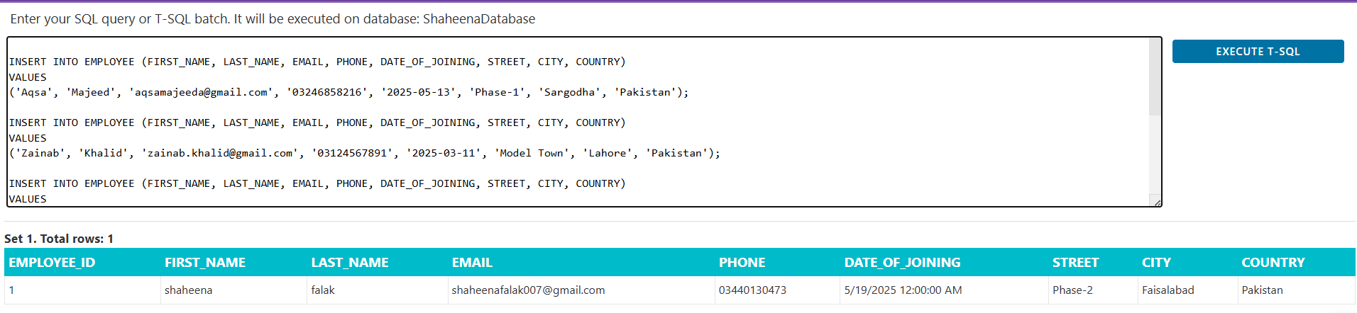 Database in somee